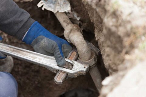 【正社員またはアルバイト】経験問わず採用中！